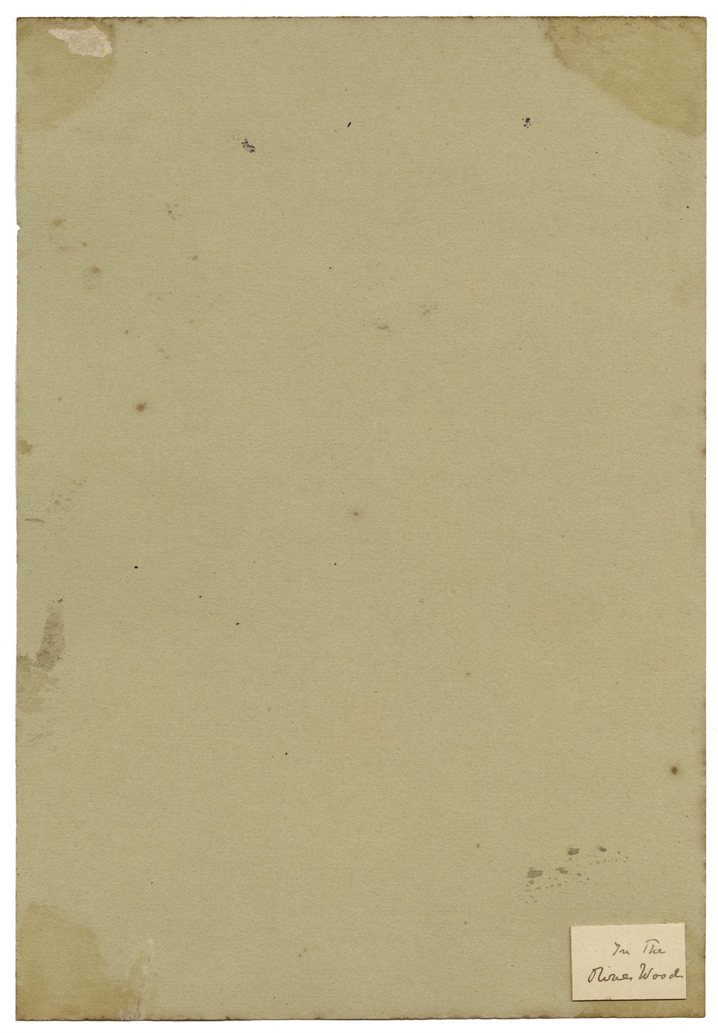 Constance Maria Stopford née Hammersley, In the Olive Wood, French Riviera – 1880s watercolour painting