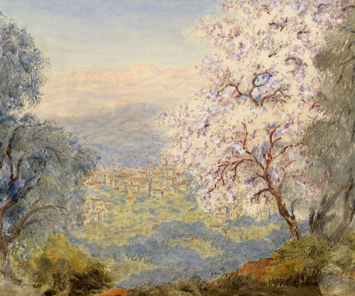 Constance Maria Stopford née Hammersley, Blossom in the Hills of Grasse, French Riviera – 1880s watercolour painting