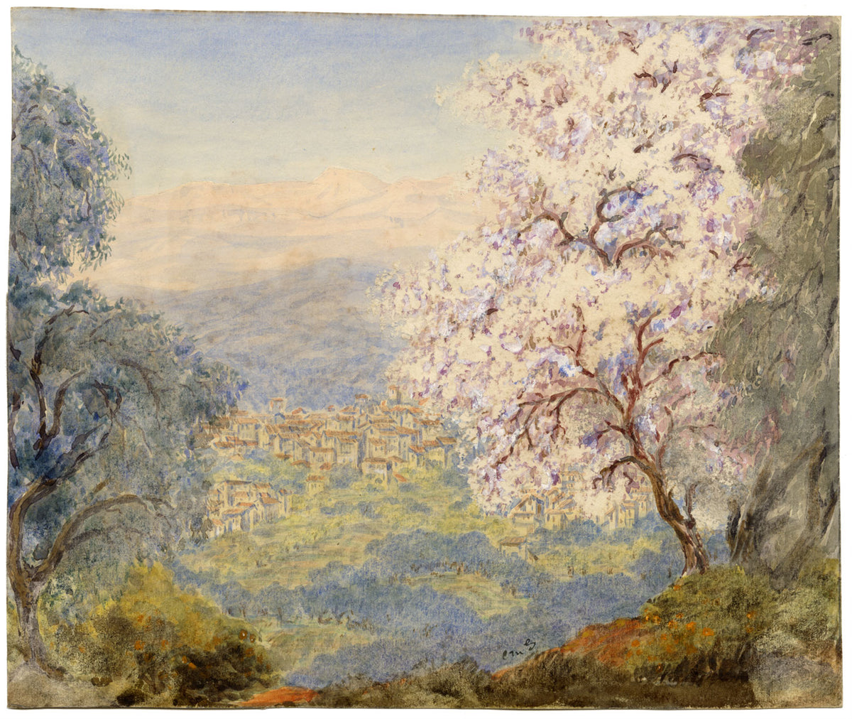 Constance Maria Stopford née Hammersley, Blossom in the Hills of Grasse, French Riviera – 1880s watercolour painting