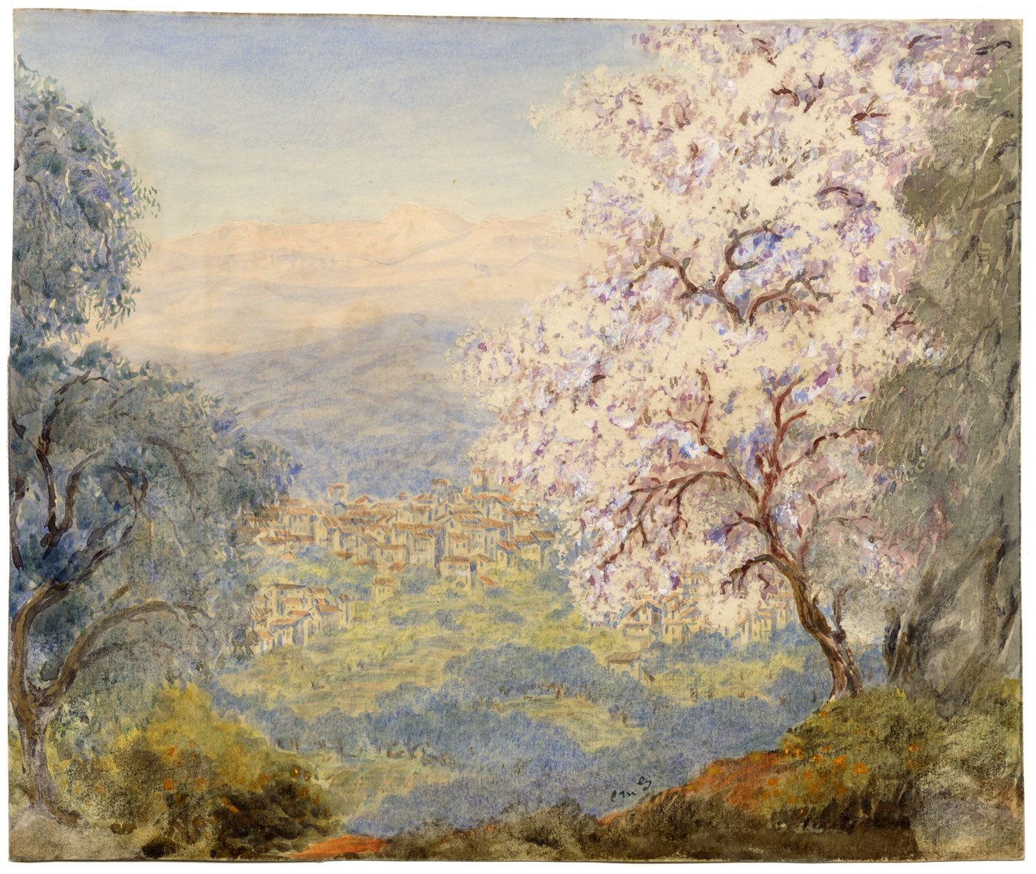 Constance Maria Stopford née Hammersley, Blossom in the Hills of Grasse, French Riviera – 1880s watercolour painting