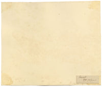 Constance Maria Stopford née Hammersley, Blossom in the Hills of Grasse, French Riviera – 1880s watercolour painting