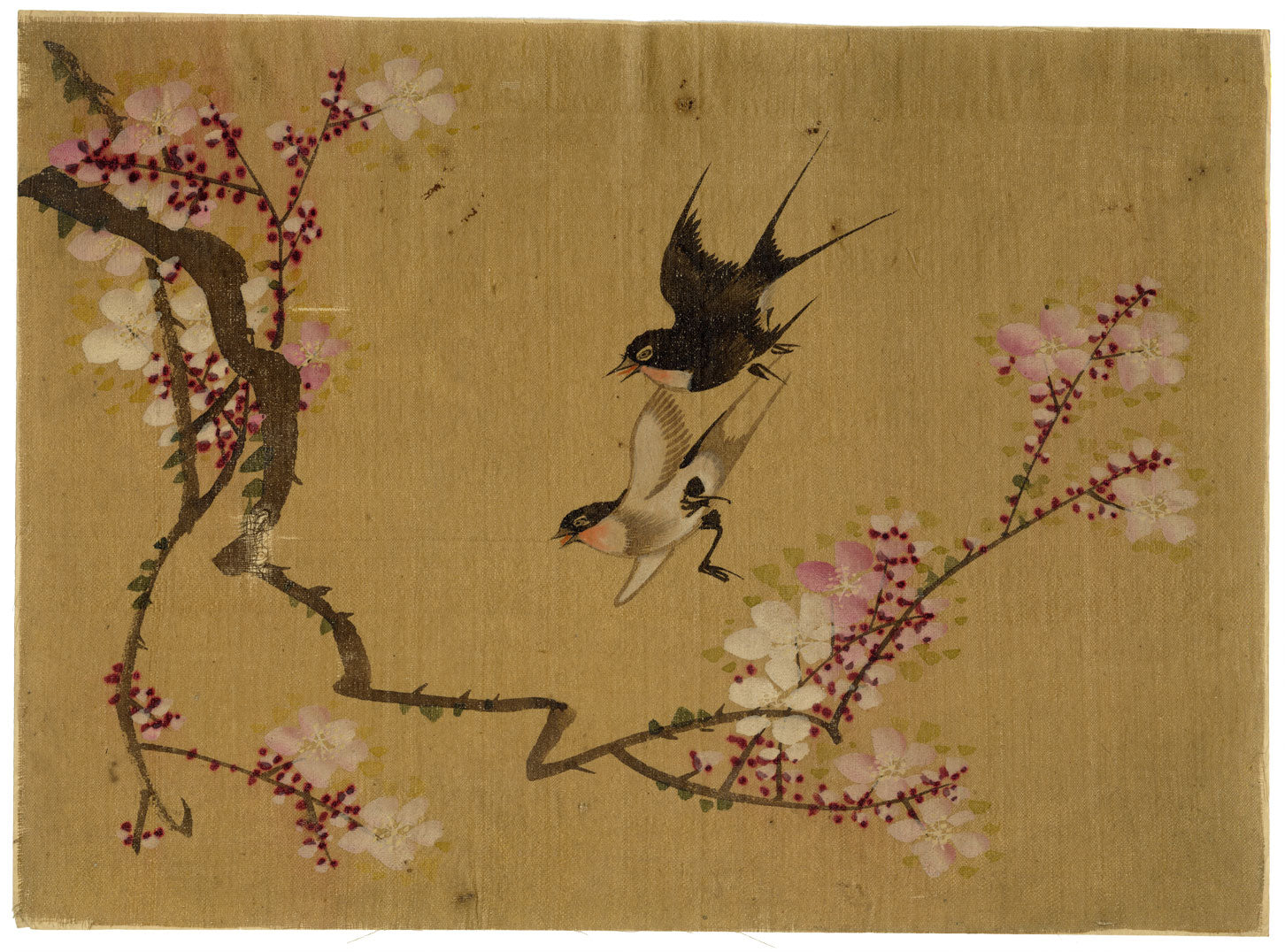 Japanese School, Cherry Blossom with Swallow Birds – c.1847 ink & colour on silk