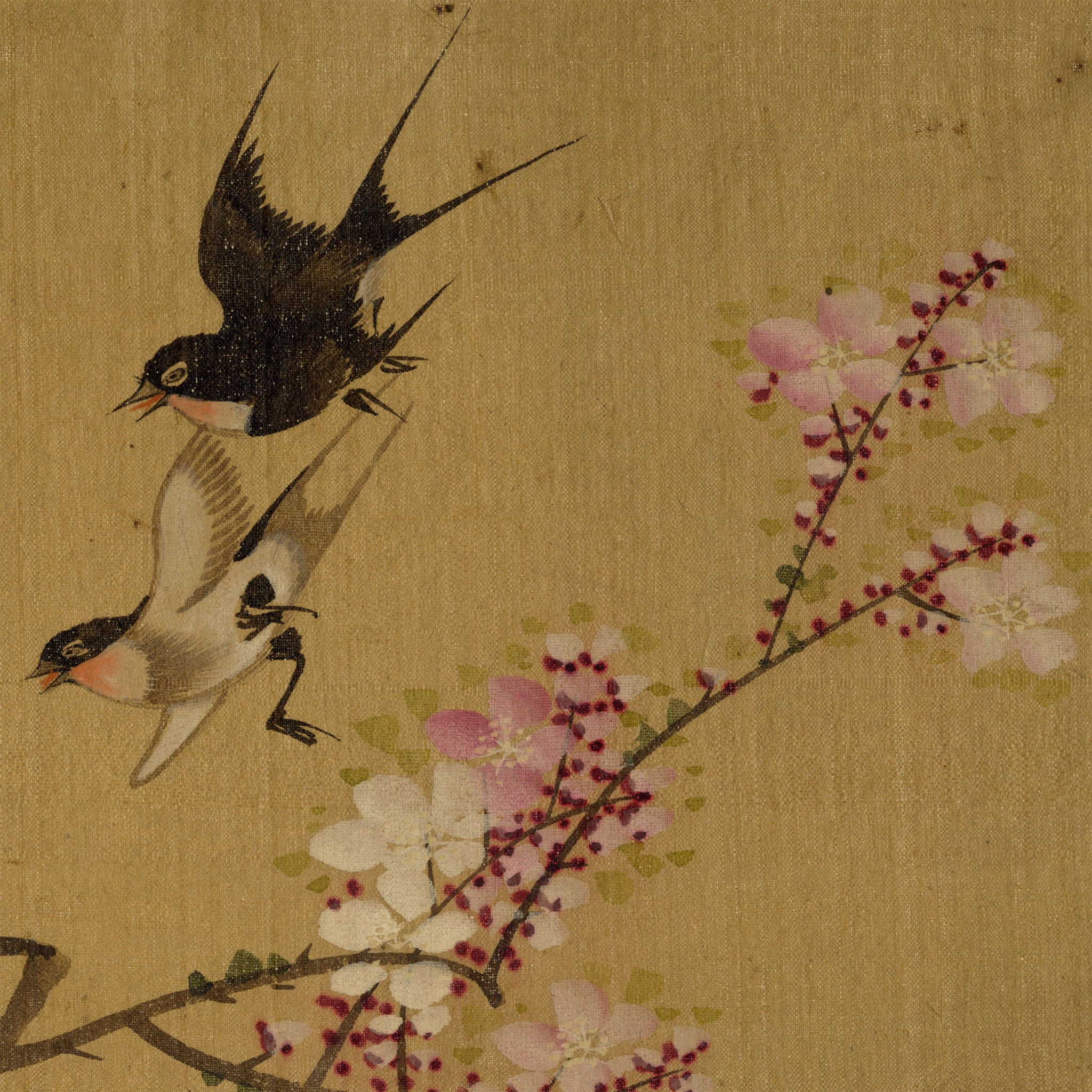 Japanese School, Cherry Blossom with Swallow Birds – c.1847 ink & colour on silk