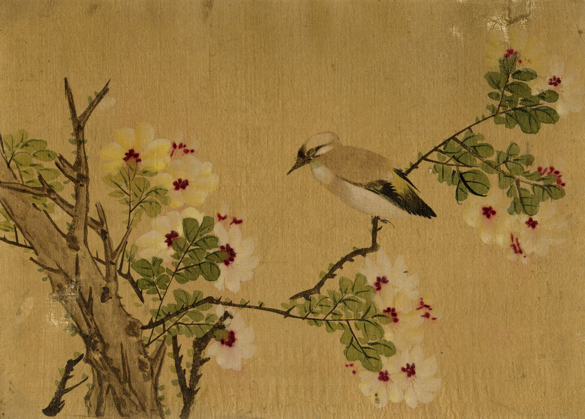 Japanese School, Waxwing Bird on Flowering Hibiscus Branch – c.1847 ink & colour on silk