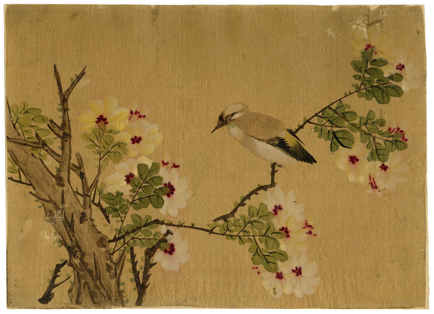 Japanese School, Waxwing Bird on Flowering Hibiscus Branch – c.1847 ink & colour on silk