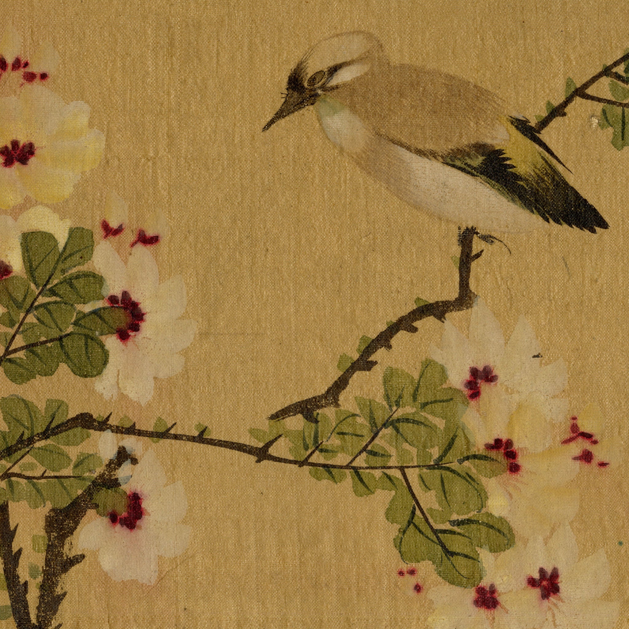 Japanese School, Waxwing Bird on Flowering Hibiscus Branch – c.1847 ink & colour on silk