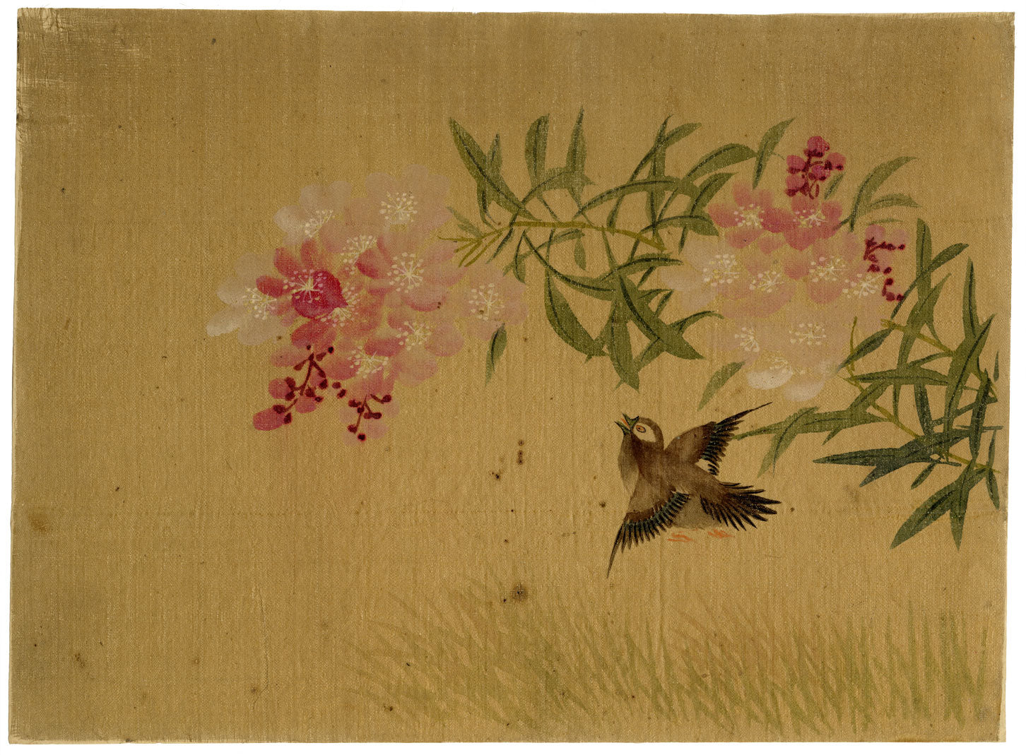 Japanese School, Plum Blossom with Sparrow Bird – c.1847 ink & colour on silk