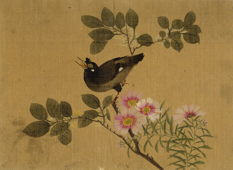 Japanese School, Hill Myna Bird on Flowering Branch – c.1847 ink & colour on silk
