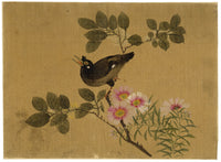 Japanese School, Hill Myna Bird on Flowering Branch – c.1847 ink & colour on silk