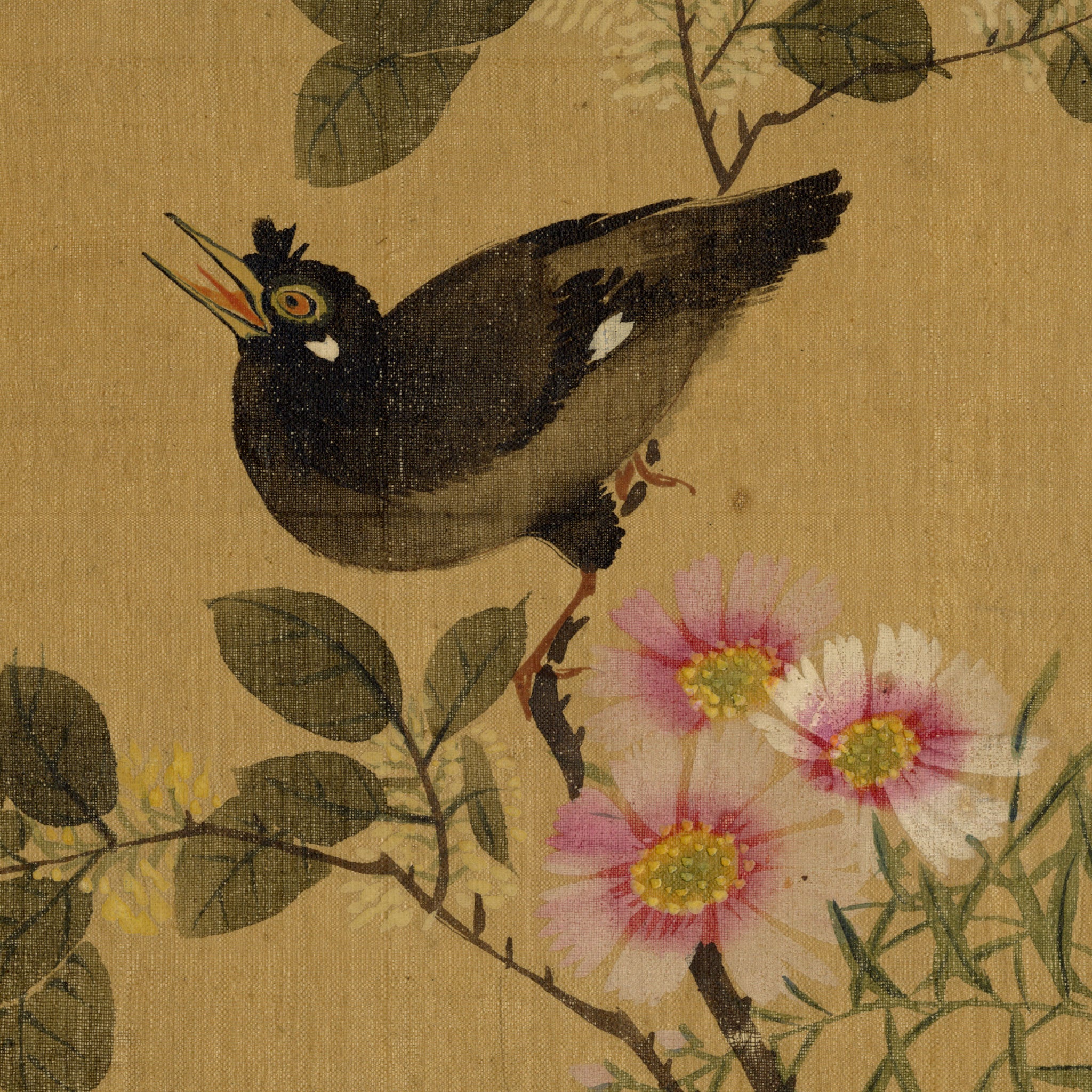 Japanese School, Hill Myna Bird on Flowering Branch – c.1847 ink & colour on silk