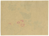 Japanese School, Hill Myna Bird on Flowering Branch – c.1847 ink & colour on silk