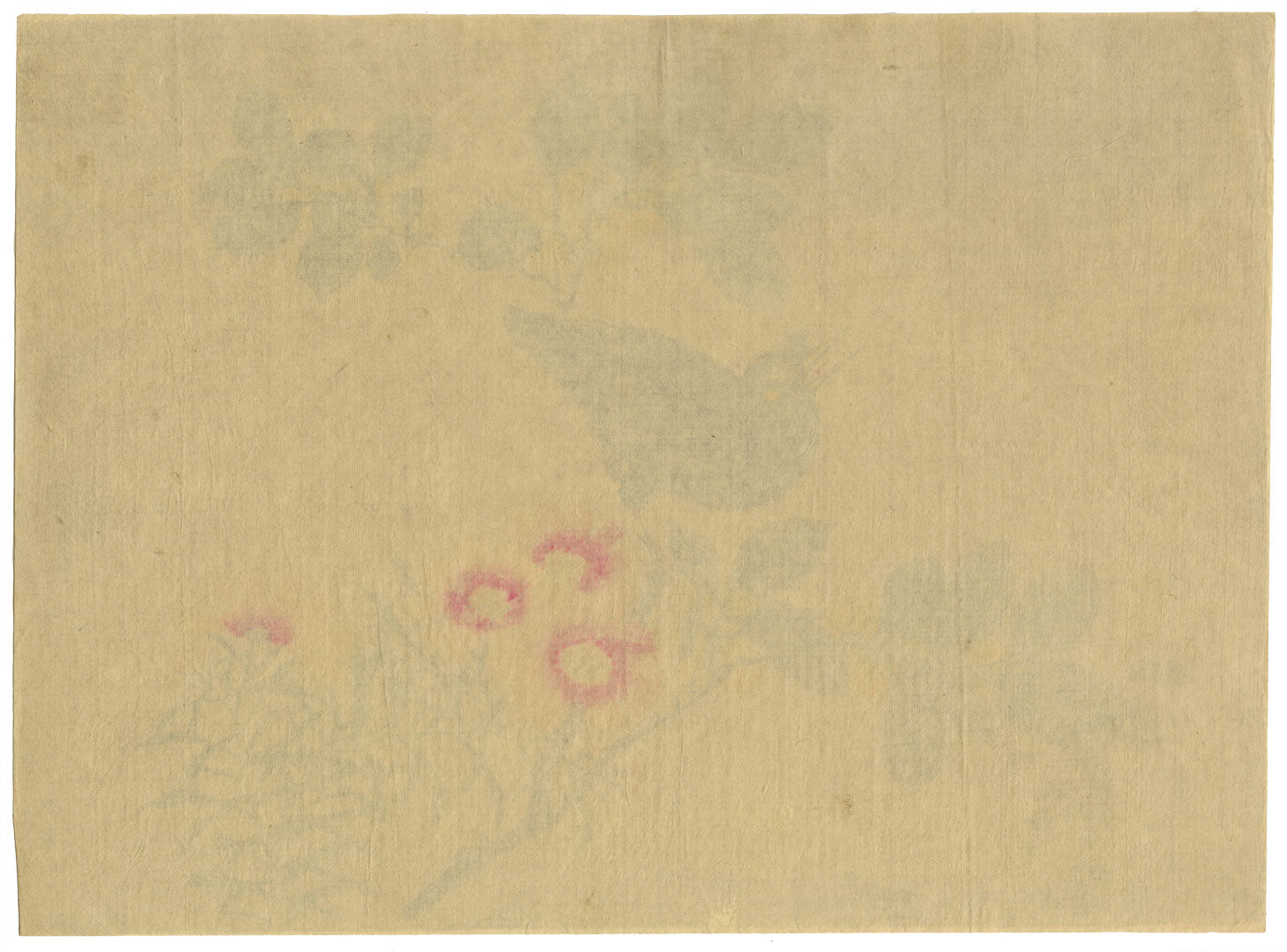 Japanese School, Hill Myna Bird on Flowering Branch – c.1847 ink & colour on silk