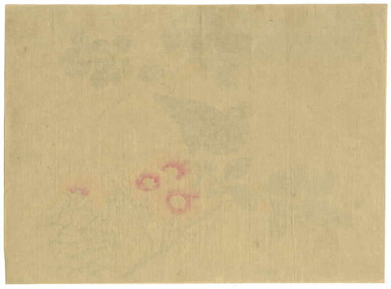 Japanese School, Hill Myna Bird on Flowering Branch – c.1847 ink & colour on silk