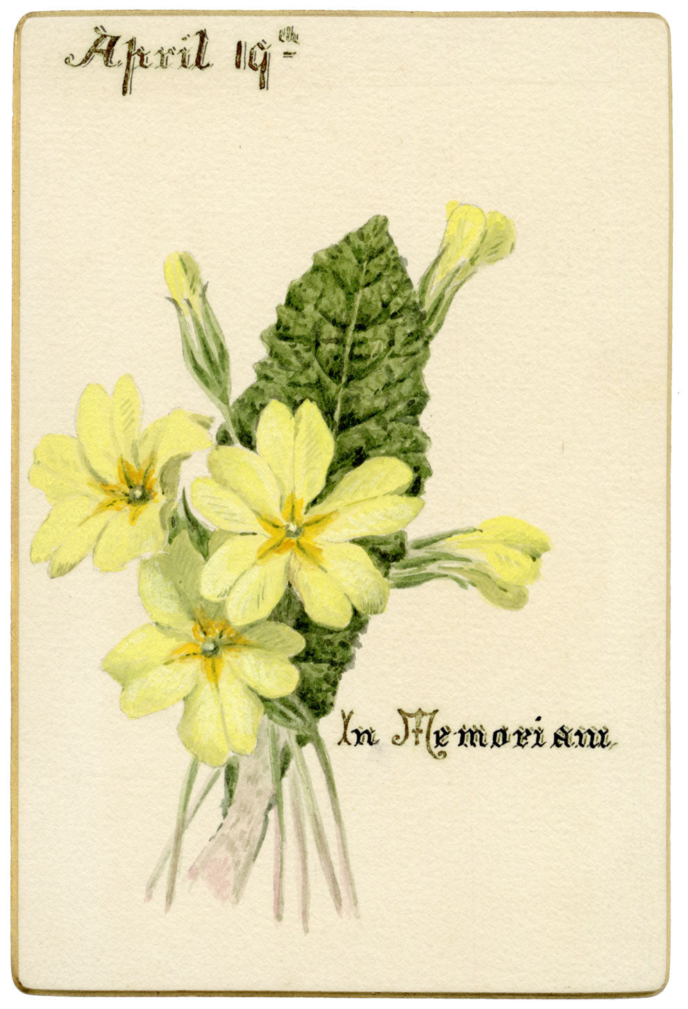 Lilla S., Primrose Flower 'In Memoriam' – c.1882 watercolour painting