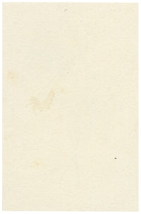 Lilla S., White Anemone Flower Study – c.1882 watercolour painting