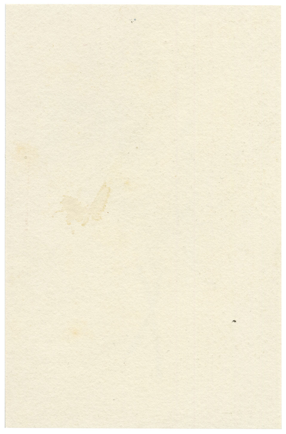 Lilla S., White Anemone Flower Study – c.1882 watercolour painting