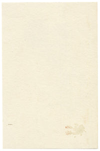 Lilla S., Purple Aster Flower Study – c.1882 watercolour painting