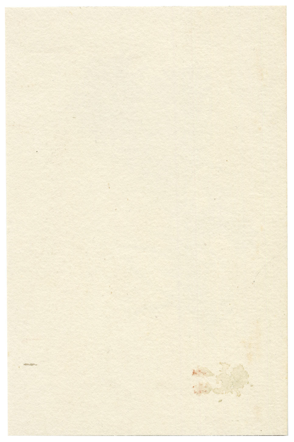 Lilla S., Purple Aster Flower Study – c.1882 watercolour painting