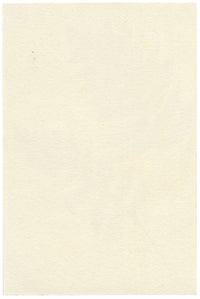 Lilla S., Fern Study – c.1882 watercolour painting