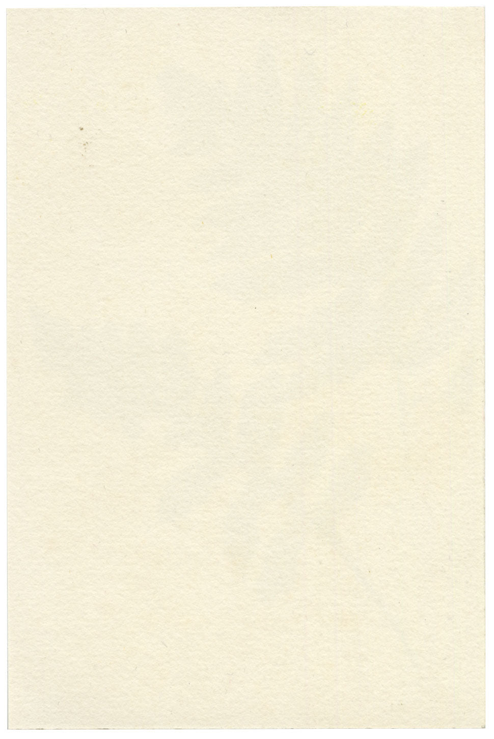 Lilla S., Fern Study – c.1882 watercolour painting