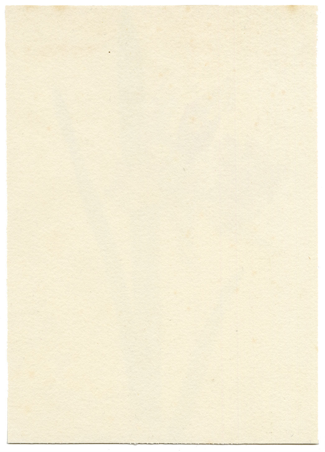 Lilla S., Daffodil (Narcissus) Flower Study – c.1882 watercolour painting