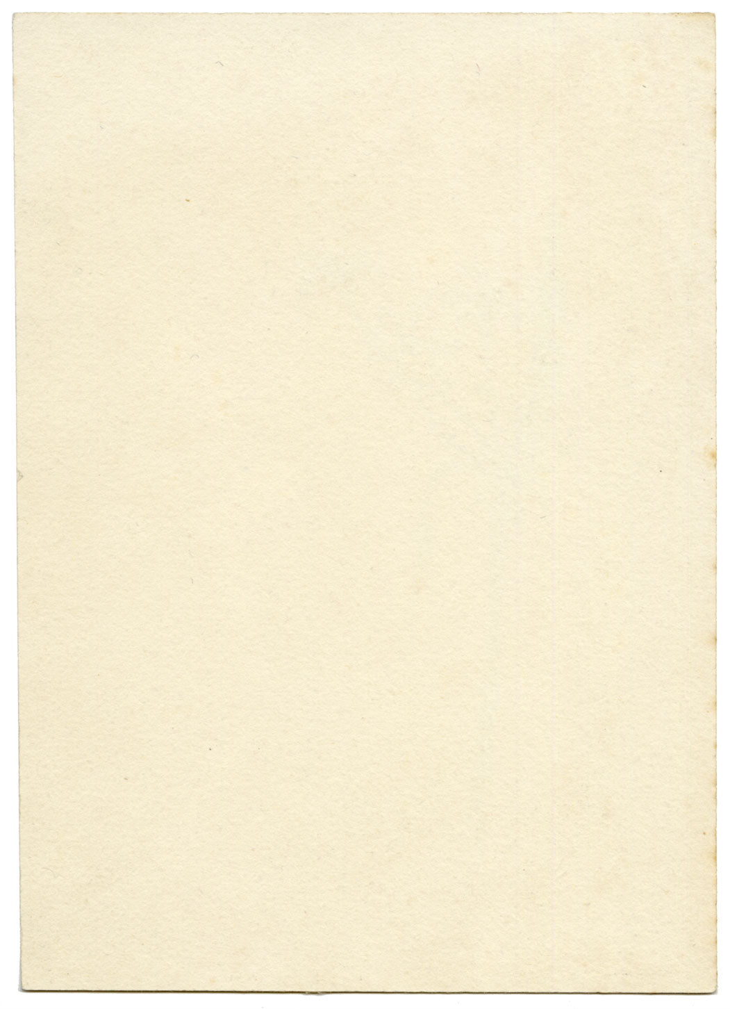 Lilla S., Yellow Star-of-Bethlehem Flower Study – c.1882 watercolour painting