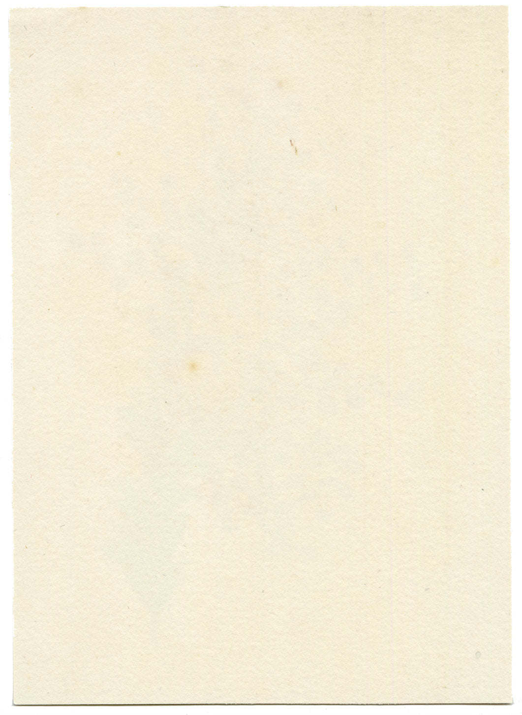 Lilla S., Yellow Mimosa Flower Study – c.1882 watercolour painting