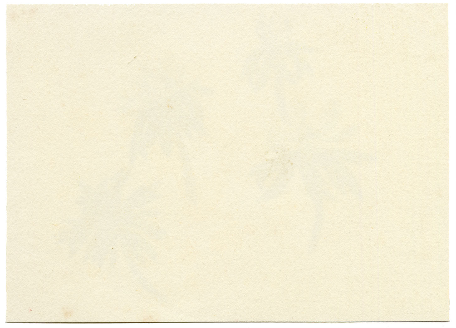 Lilla S., Yellow Winter Aconite Buttercup Study – c.1882 watercolour painting