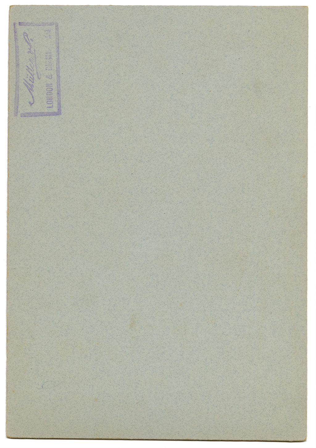 Lilla S., Orange Lily (Lilium bulbiferum) Flower Study – c.1882 watercolour painting