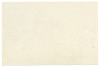 Lilla S., Hawthorn Leaf & Berry (Crataegus) Study – c.1882 watercolour painting