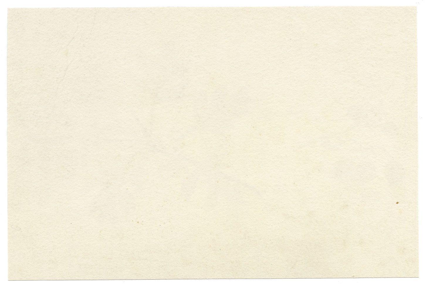 Lilla S., Hawthorn Leaf & Berry (Crataegus) Study – c.1882 watercolour painting