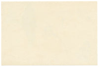 Lilla S., Primrose Flowers & Leaf Study – c.1882 watercolour painting