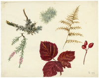 Lilla S., Lichen, Fern & Heather, Autumn at Loch Leven, Scotland – 1882 watercolour painting