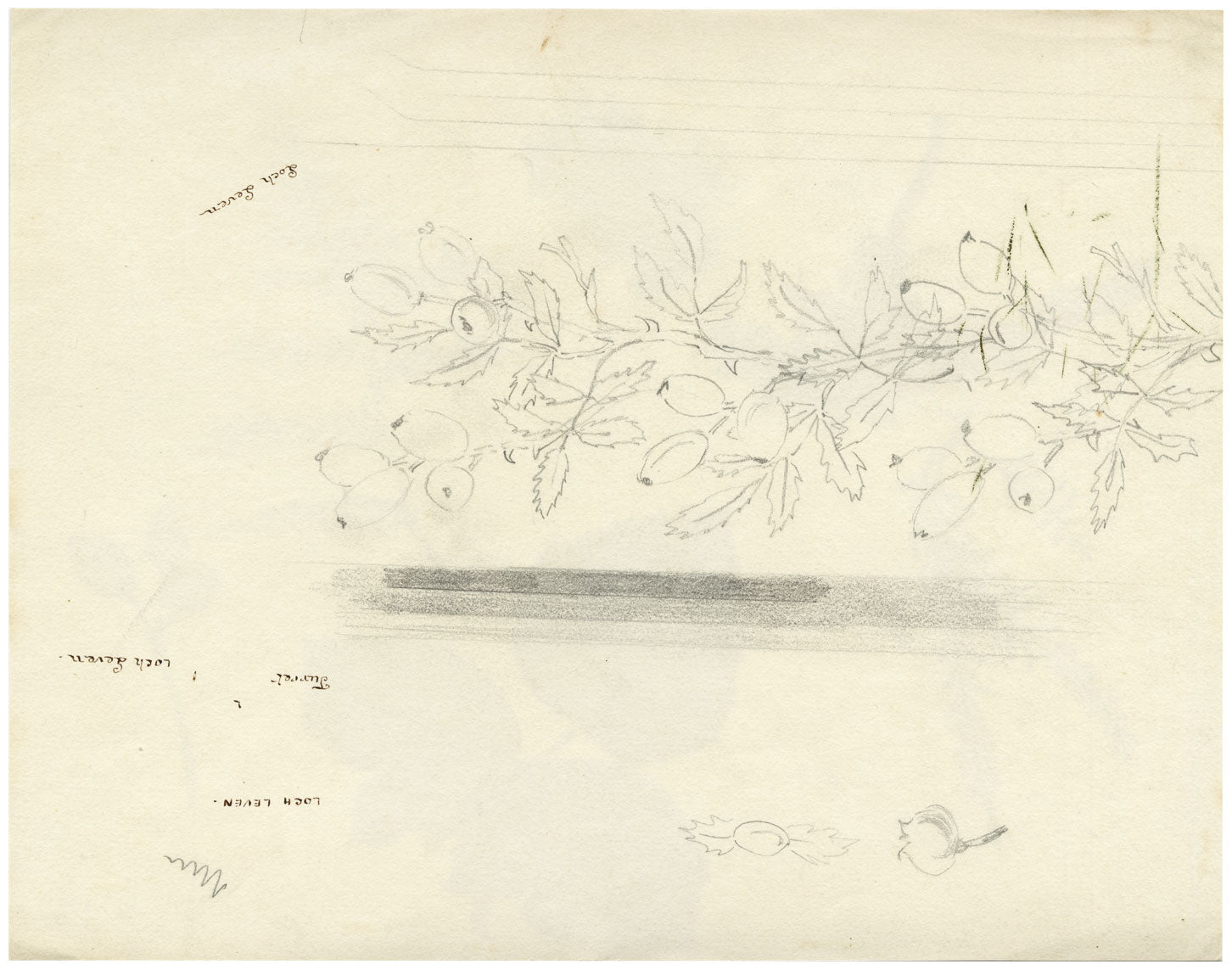Lilla S., Lichen, Fern & Heather, Autumn at Loch Leven, Scotland – 1882 watercolour painting