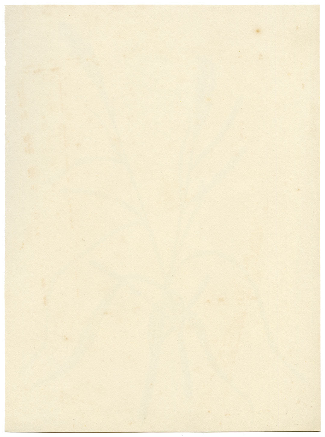 Lilla S., Pendulous Sedge Grass (Carex pendula) Study – c.1882 watercolour painting