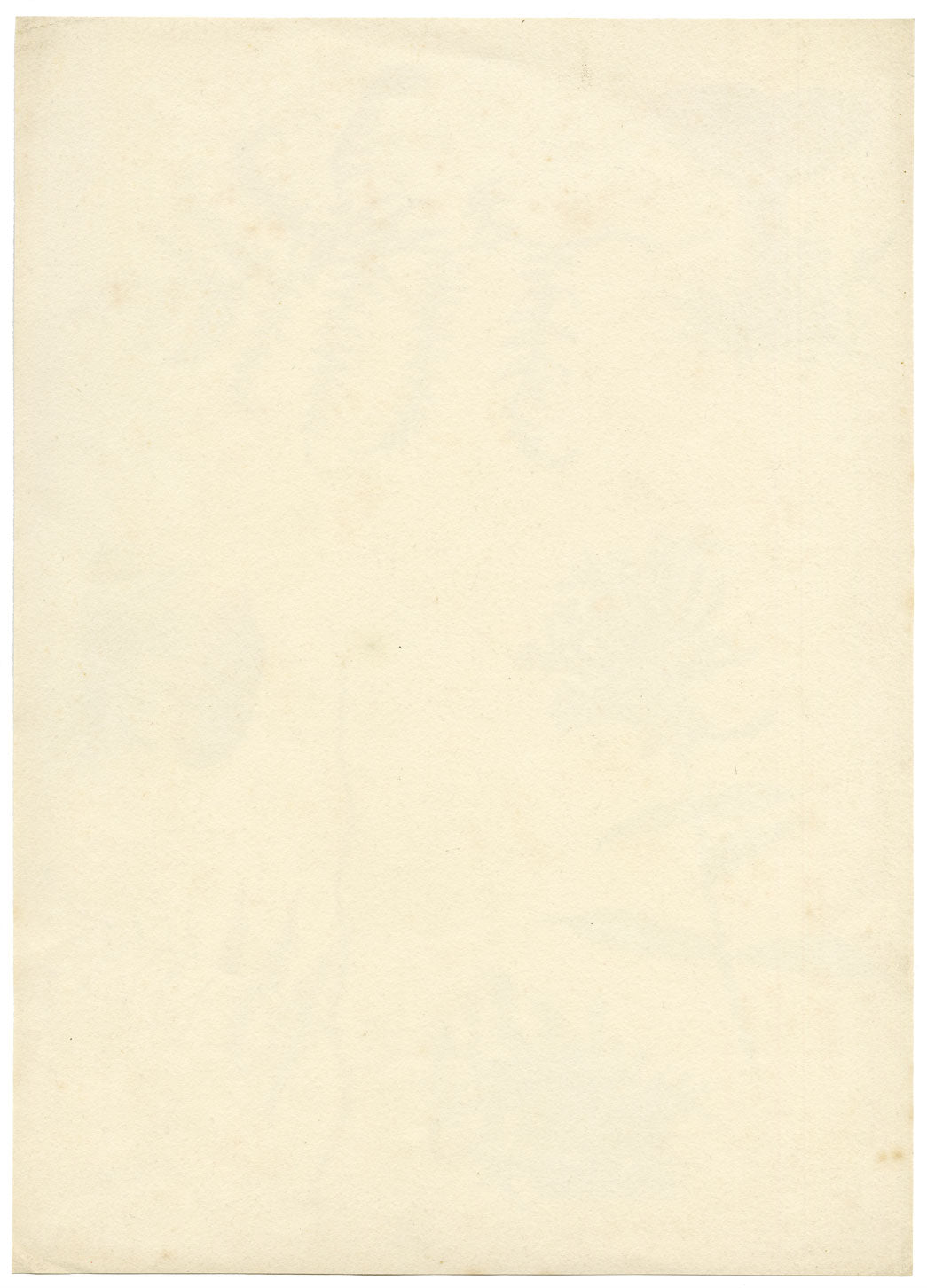 Lilla S., Woodland Studies (Russula genus, Fern, Soapwort) – 1882 watercolour painting