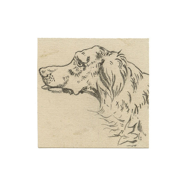 Style of Sir Edwin Landseer RA, Irish Setter Dog Head in Miniature – Late 19th-century graphite drawing