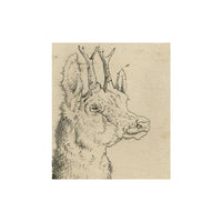 Style of Sir Edwin Landseer RA, Roe Deer Head in Miniature – Late 19th-century graphite drawing
