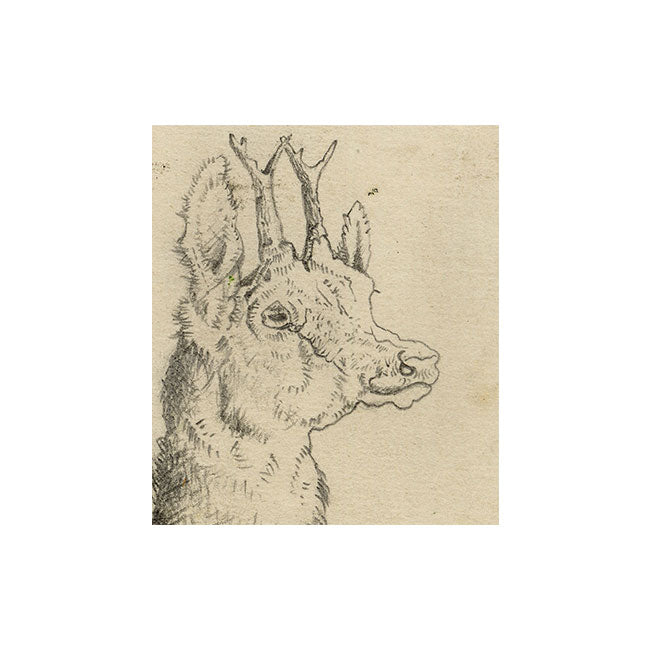 Style of Sir Edwin Landseer RA, Roe Deer Head in Miniature – Late 19th-century graphite drawing
