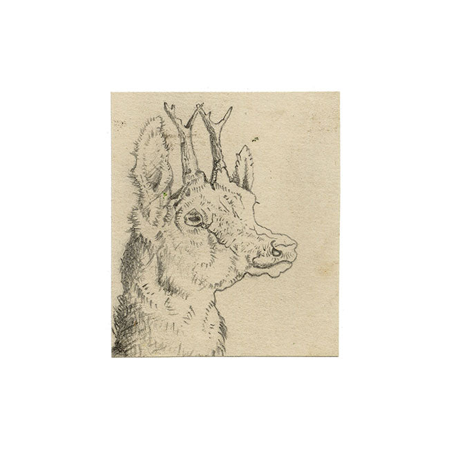 Style of Sir Edwin Landseer RA, Roe Deer Head in Miniature – Late 19th-century graphite drawing