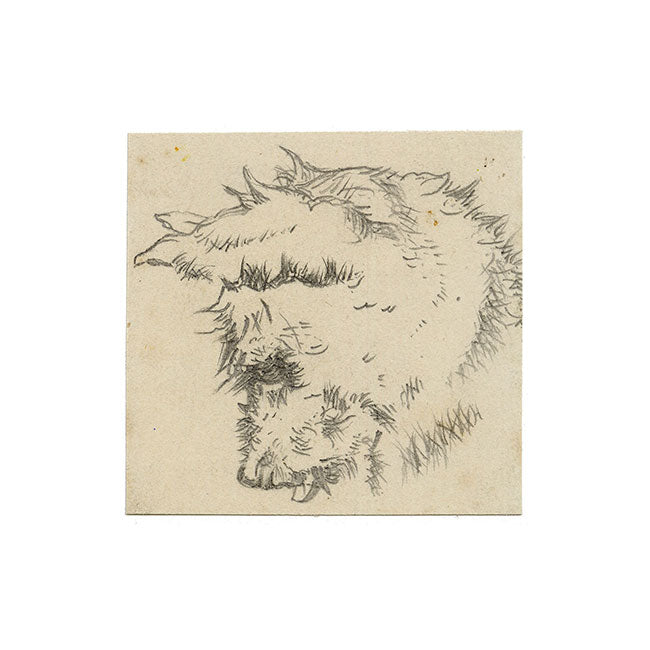 Style of Sir Edwin Landseer RA, Dog Head in Miniature – Late 19th-century graphite drawing