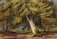 Anon., Woodland Trees After David Hall McKewan – c.1870s watercolour painting