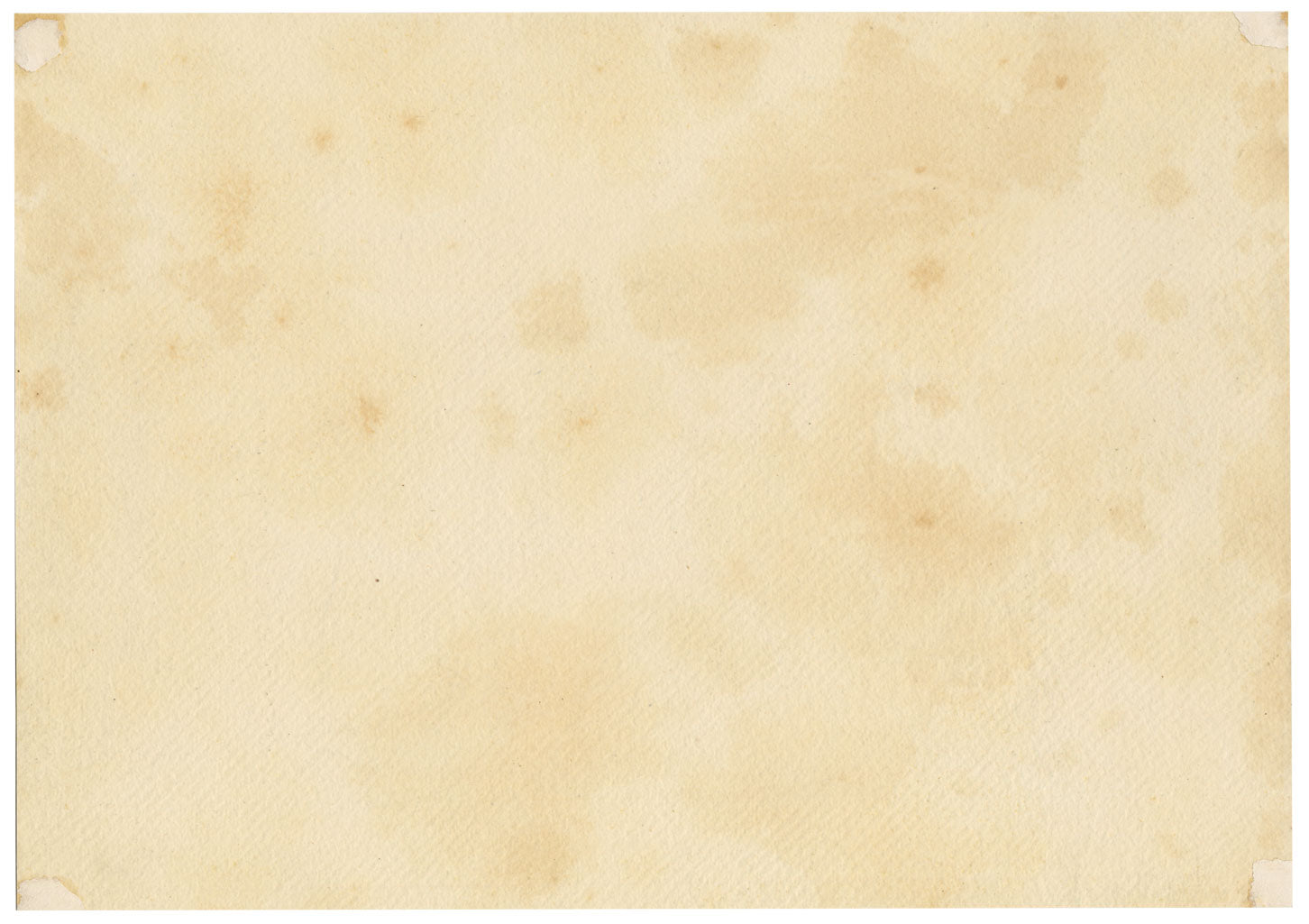 Anon., Woodland Trees After David Hall McKewan – c.1870s watercolour painting