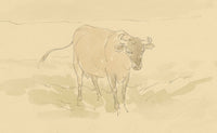 Mary Elizabeth Crawhall, Yorkshire Cow – 1898 watercolour painting