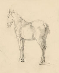 Isabel Lewis, Horse Study – c.1900s graphite drawing