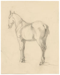 Isabel Lewis, Horse Study – c.1900s graphite drawing