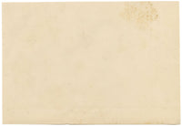 Isabel Lewis, Sheep Study – c.1900s graphite drawing