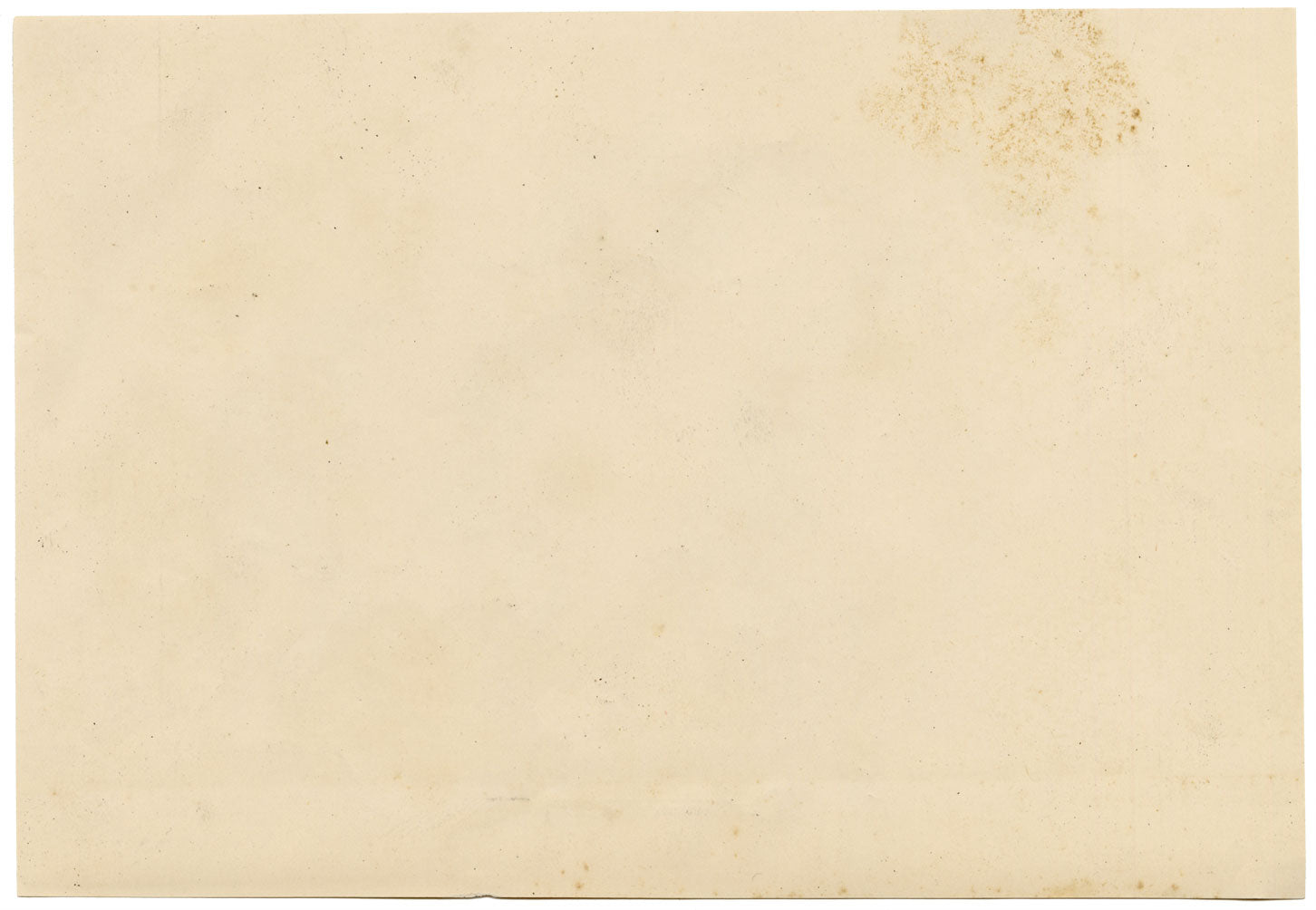 Isabel Lewis, Sheep Study – c.1900s graphite drawing