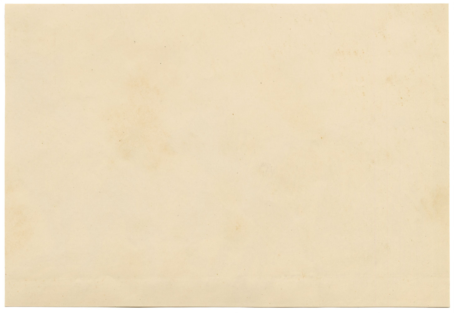 Isabel Lewis, Sheep Study – c.1900s graphite drawing