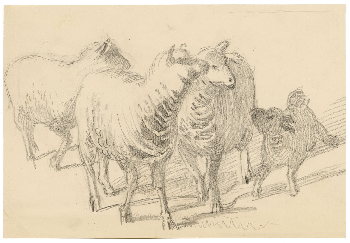 Isabel Lewis, Sheep with Lamb Study – c.1900s graphite drawing